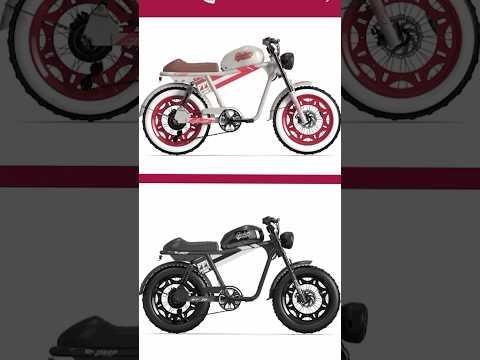 THE PACK Magazine: Unveiling the Electric Motorcycle Revolution
